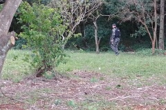 IMG_20250625_165117