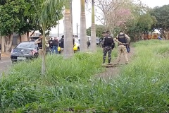 IMG_20250625_165210