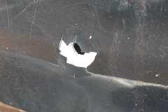 IMG-20251203-WA0047