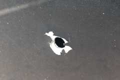 IMG-20251203-WA0050