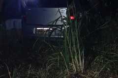 IMG-20250320-WA0087