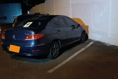 InFrame_1743964038469