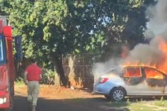 InFrame_1775358876976