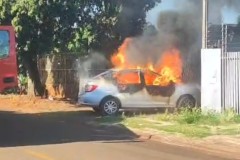 InFrame_1775358909786