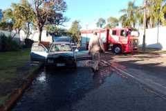 IMG-20251126-WA0051