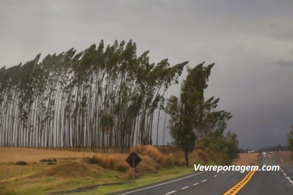 Paraná está em alerta para tempestades durante toda esta terça-feira (14) (Foto: Gilson Abreu/ AEN)