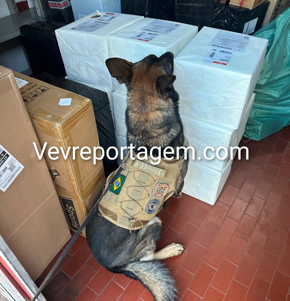 Polícia Federal apreende 130 kg de maconha com apoio de cães farejadores em Foz do Iguaçu