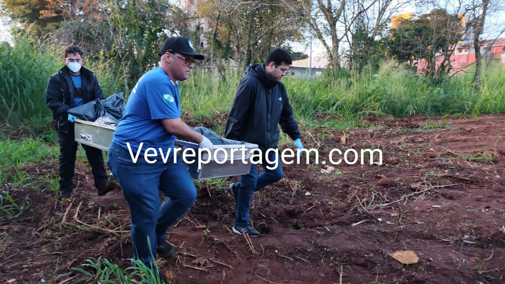 Corpo de homem desaparecido há 10 dias é encontrado em área de mata no Parque Monjolo