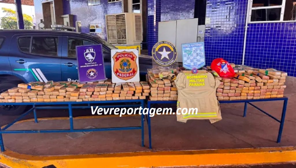 Operação conjunta apreende cerca de 500 quilos de maconha escondidos em caminhão na Ponte da Amizade